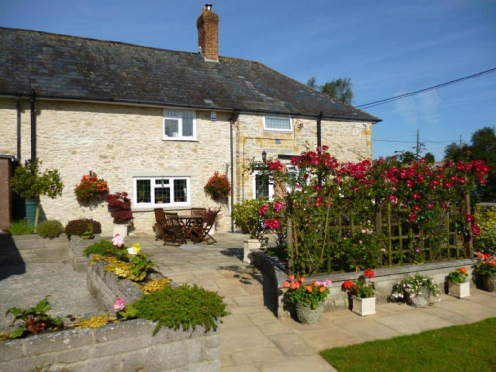 Bed and Breakfast Quiet Woman House Halstock Esterno foto