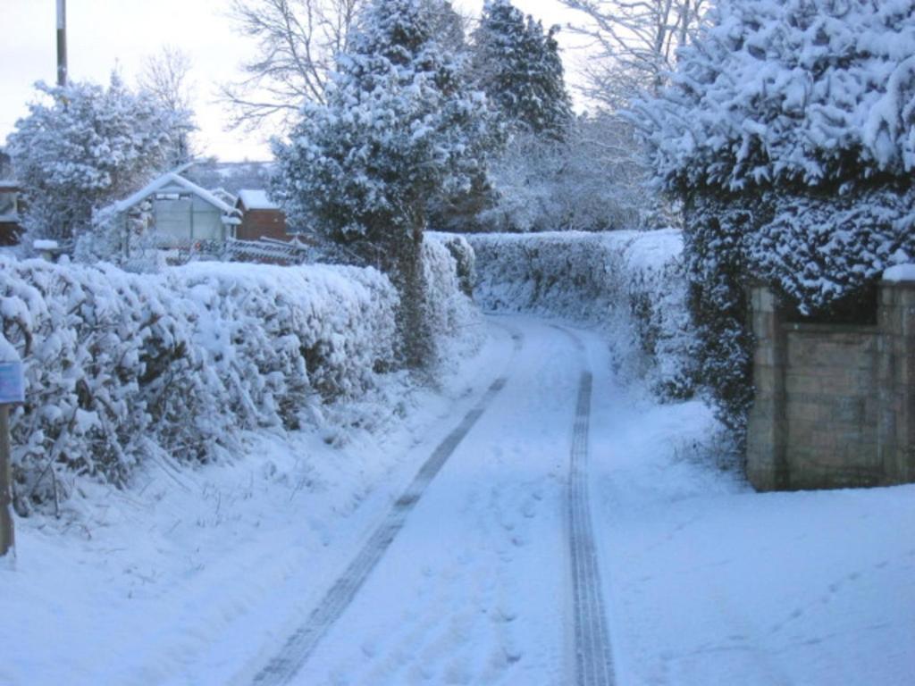 Bed and Breakfast Quiet Woman House Halstock Esterno foto
