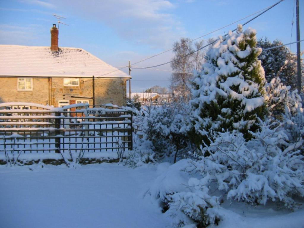 Bed and Breakfast Quiet Woman House Halstock Esterno foto