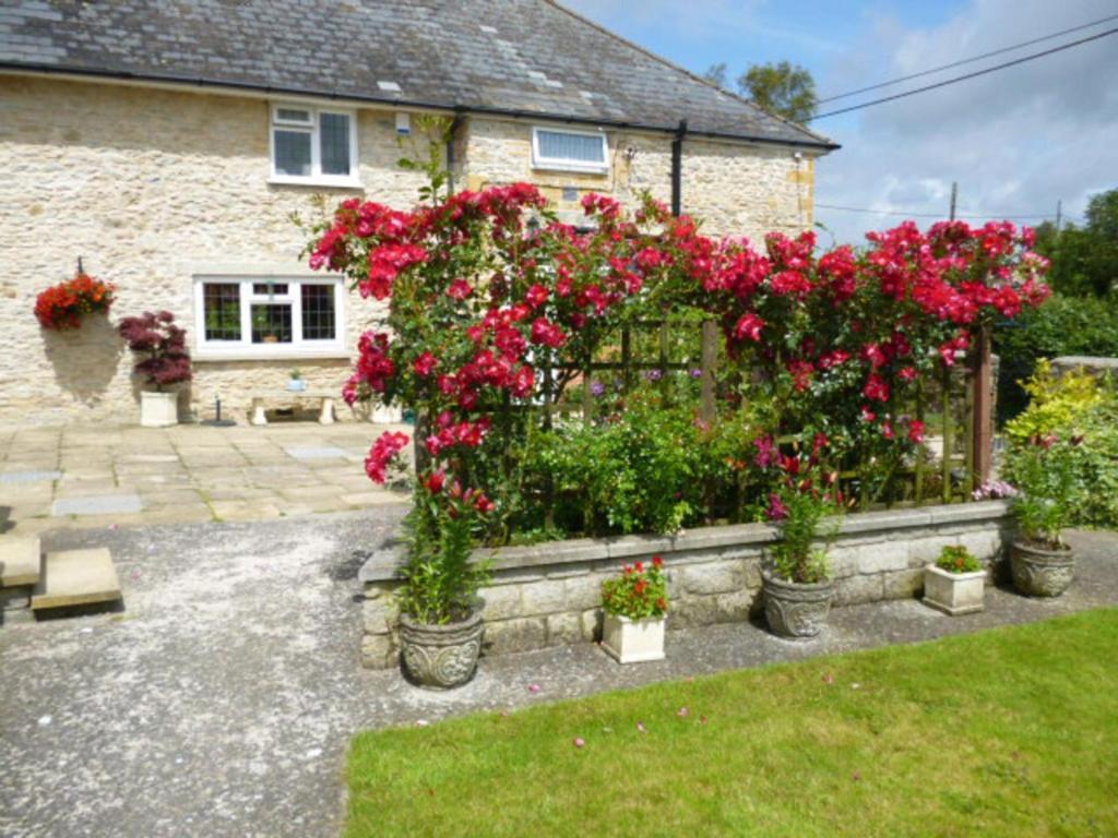 Bed and Breakfast Quiet Woman House Halstock Esterno foto