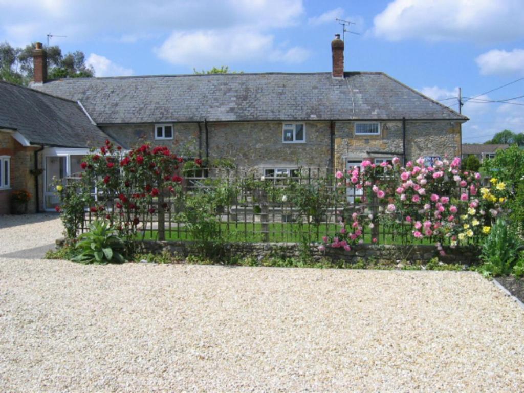 Bed and Breakfast Quiet Woman House Halstock Esterno foto