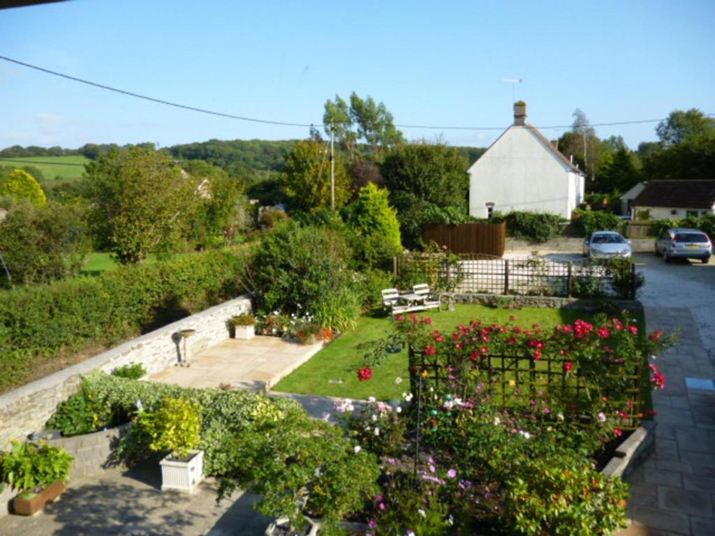 Bed and Breakfast Quiet Woman House Halstock Esterno foto