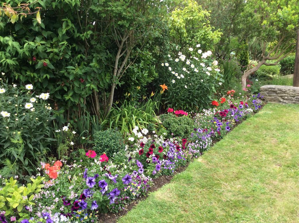 Bed and Breakfast Quiet Woman House Halstock Esterno foto