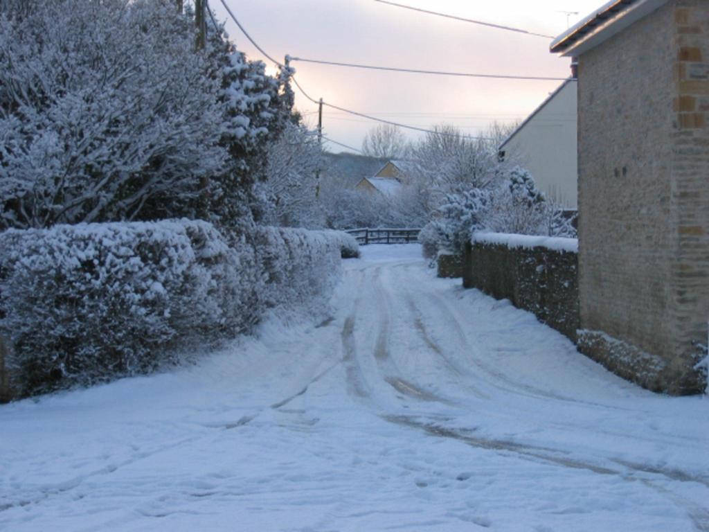 Bed and Breakfast Quiet Woman House Halstock Esterno foto